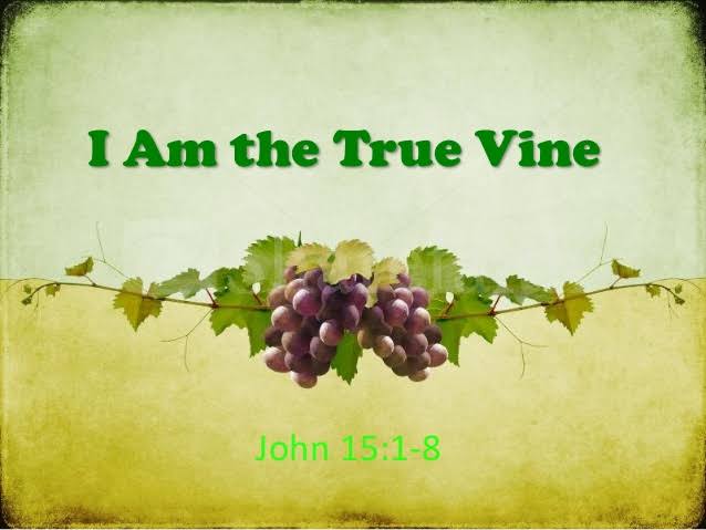 OneJacobKelly's tweet photo. Job:14:7-9...
"For there is hope for a tree, if it's cut down, that it will sprout again, and that it's tender shoots will not cease.
Though it's root may grow old in the earth, and it's Trump may die in the ground....
#OneJKDevotion
1/ https://t.co/sdpTDepXXs