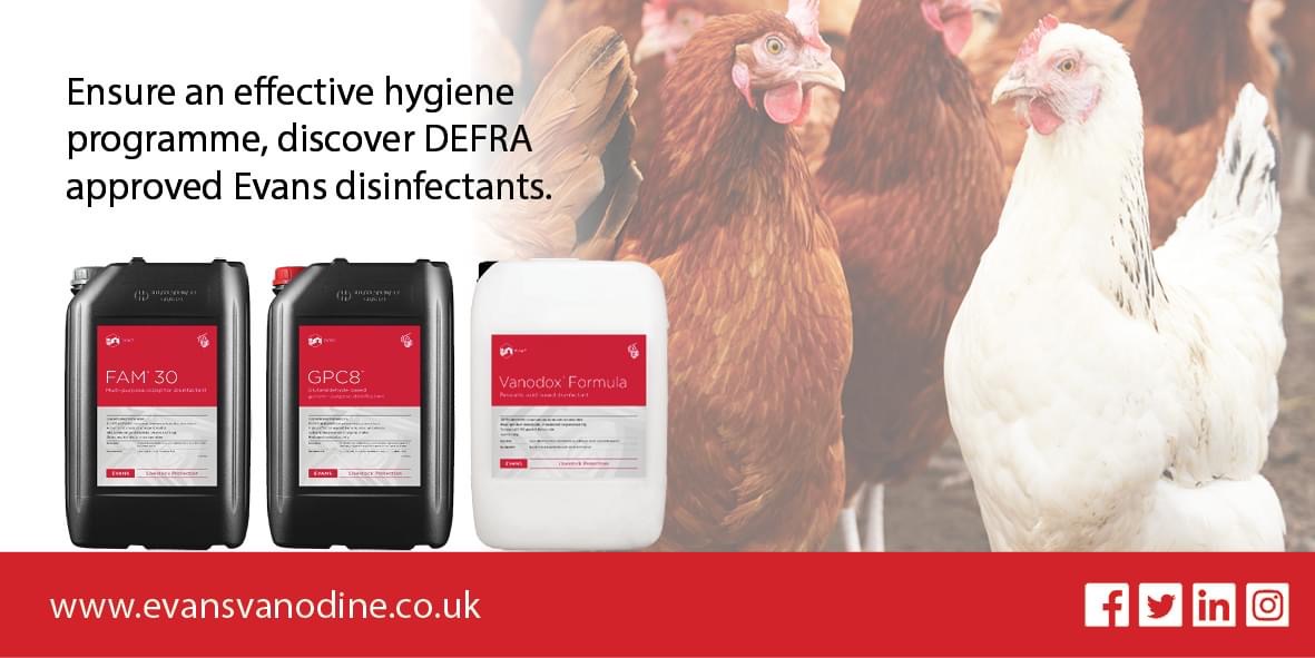 evansvanodine's tweet photo. Due to recent outbreaks of #Avianflu in the UK, we have provided recommendations and advice to help prevent infection, which can be found here: https://t.co/CPxTMIX0Yb

#avianinfluenza #biosecurity #birdflu #poultry #agriculture #ukagriculture #HPAI #BritishPoultry #DEFRA https://t.co/Y9TPLOYrfK