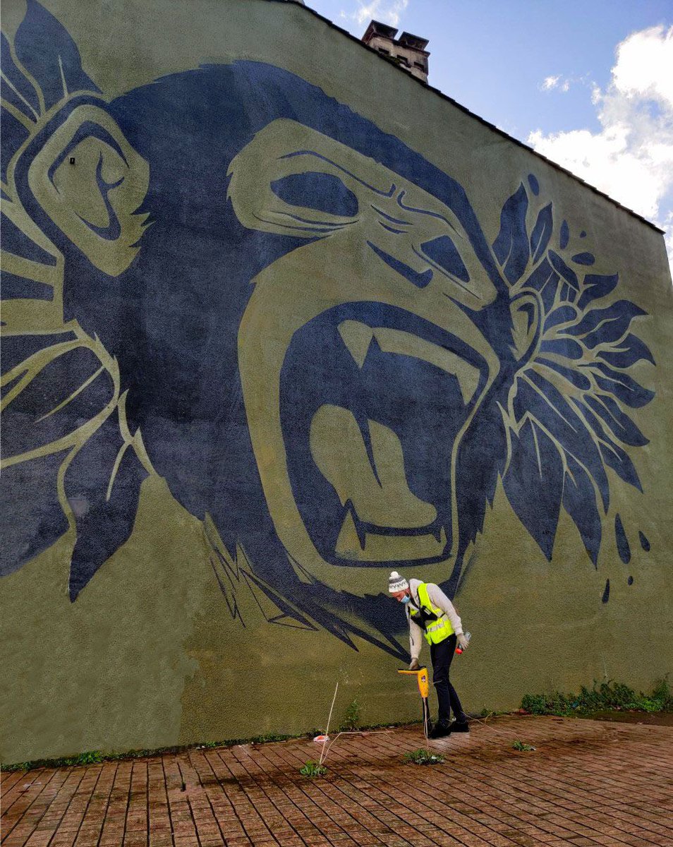 Vivax-Metrotech FR tweet media