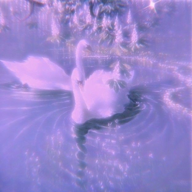 ★ What superpowers do you wish you have now? ★