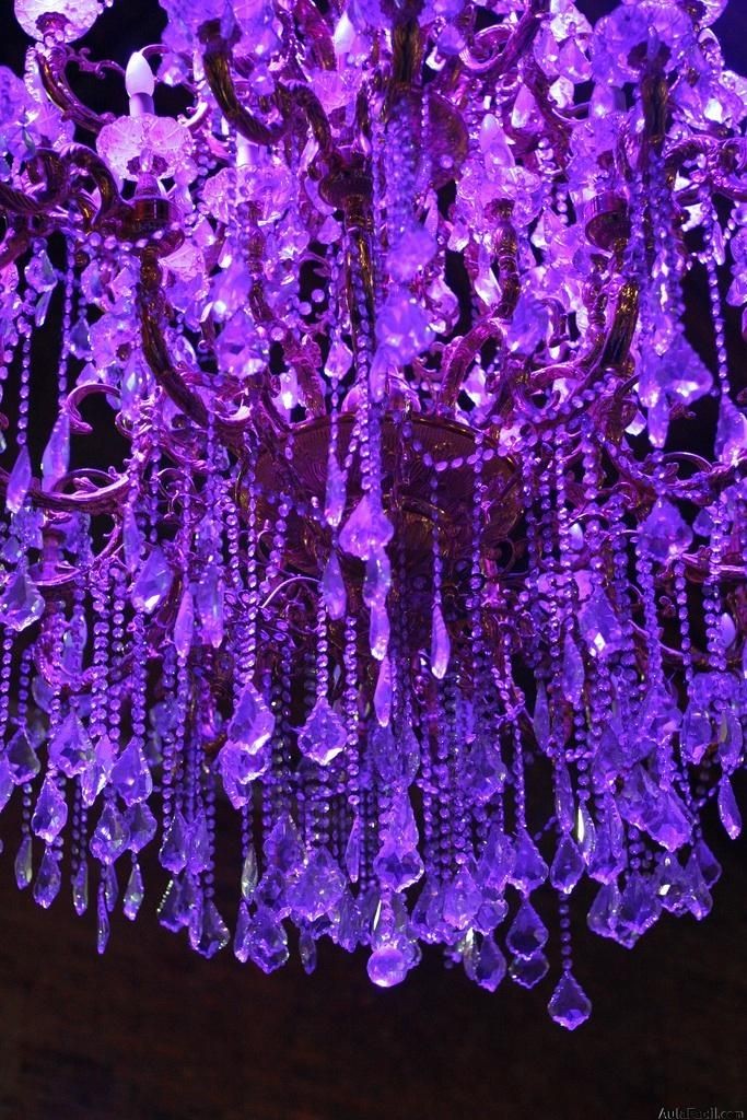 ★ Did you tell/remind your loved ones that you love them today? ★