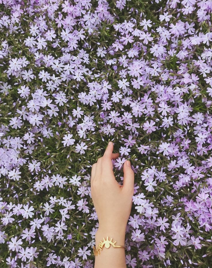 ★ What's your comfort food? ★