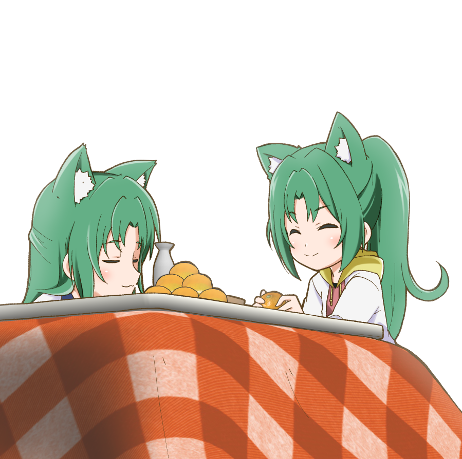 sonozaki mion kotatsu 2girls multiple girls animal ears sisters siblings green hair  illustration images