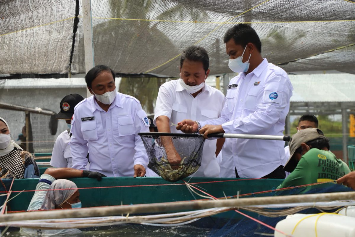 Hari ini, Kamis (7/1), saya meresmikan pembangunan dan rehabilitasi 13 klaster tambak udang di Balai Layanan Usaha Produksi Perikanan Budidaya (BLUPPB) di Karawang, Jawa Barat.