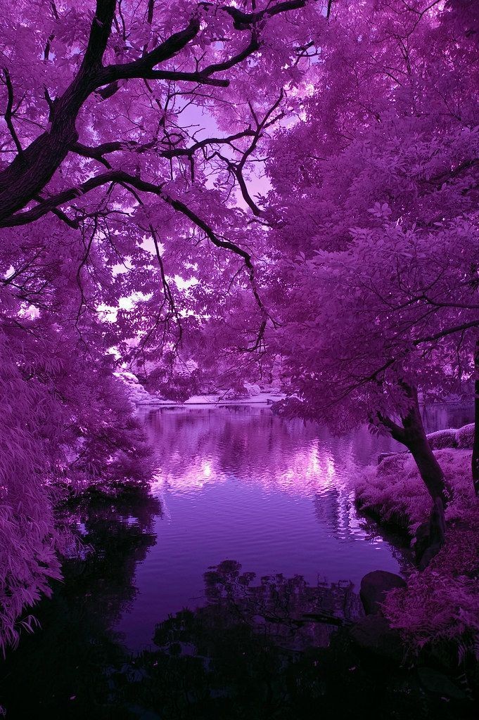 ★ Who's your ultimate bias in kpop? ★