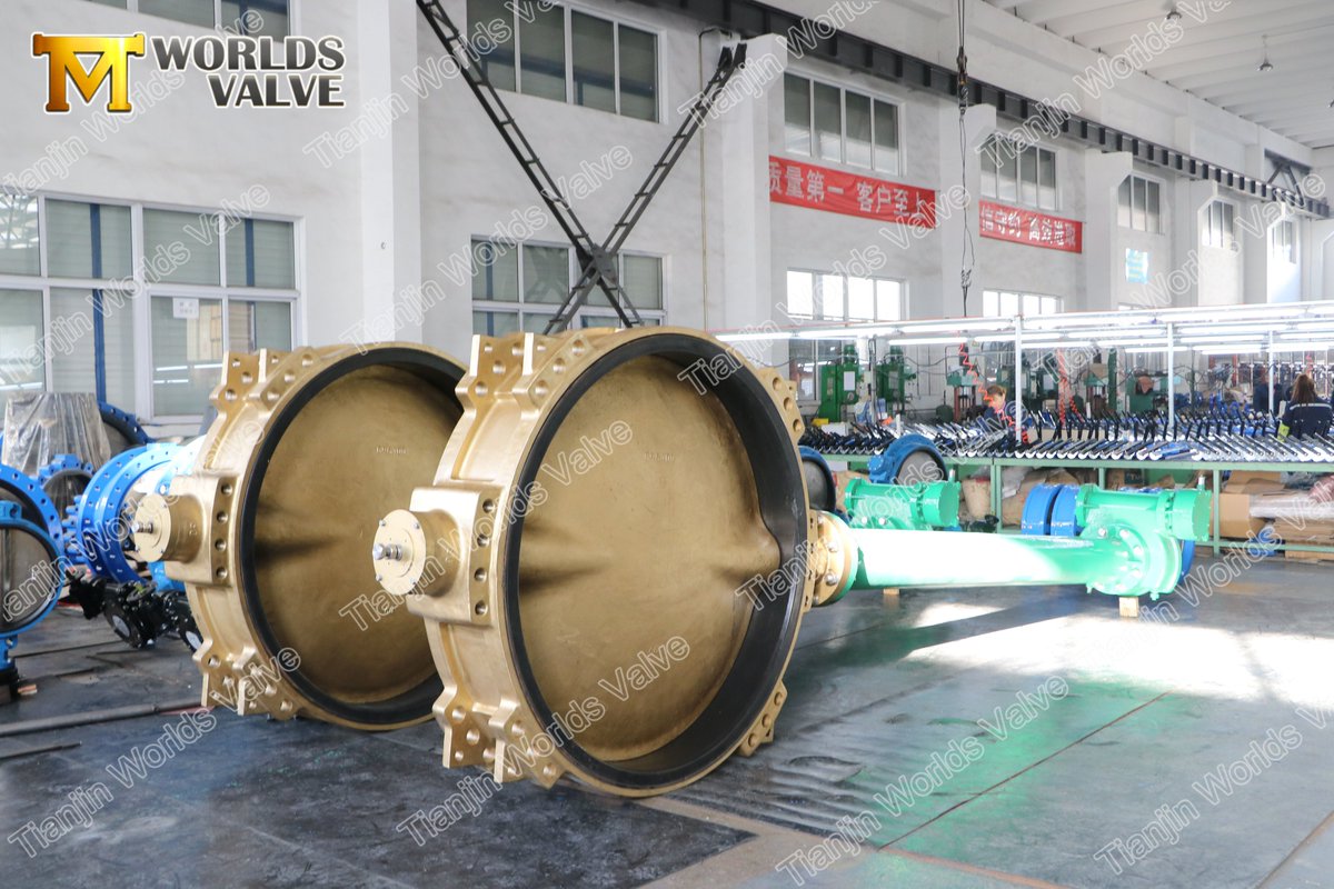 gate_valves's tweet photo. Aluminum Bronze body and disc butterfly valve with long extension stem
E-mail : sales08@worldsvalve.com
https://t.co/tctVqza5xF https://t.co/cKEQeLvSiV