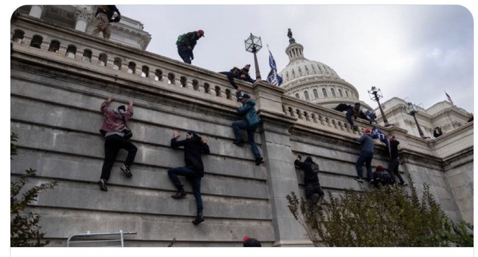 Trump supporters ke maNinja