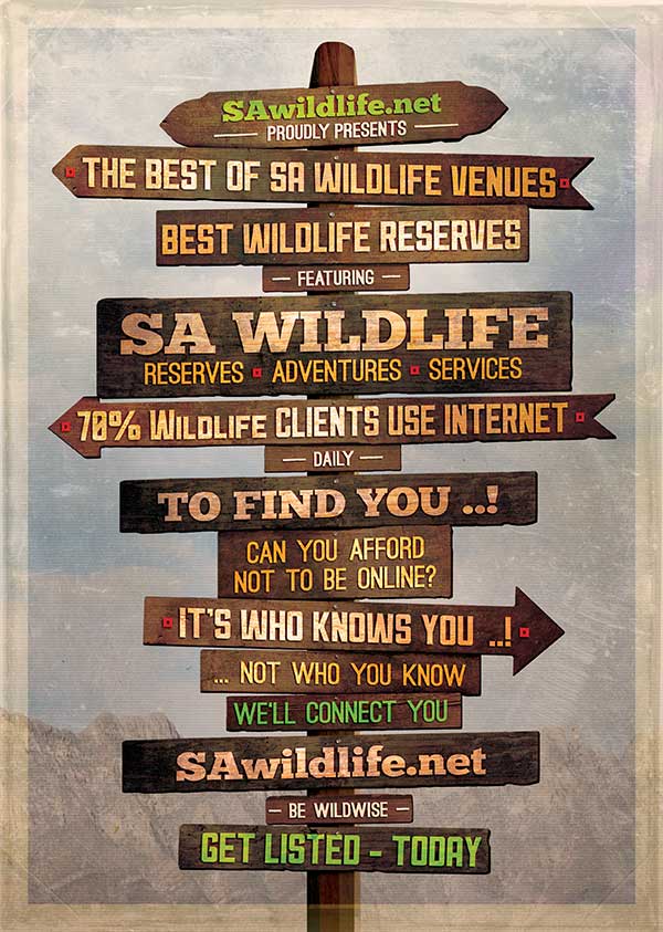 Welcome 2021 - mailchi.mp/e5694cb0f12a/s…