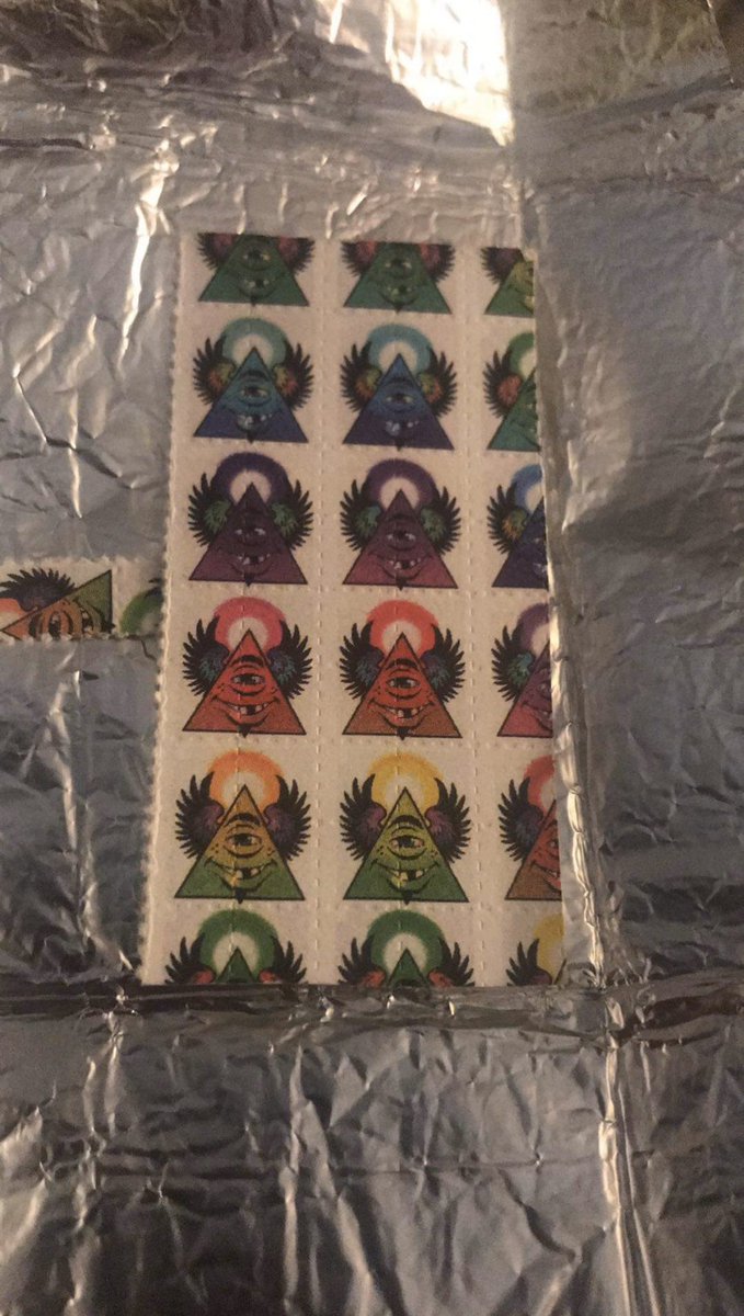 HighforN's tweet image. Always making sure she's ( Lucy) around
Blessed