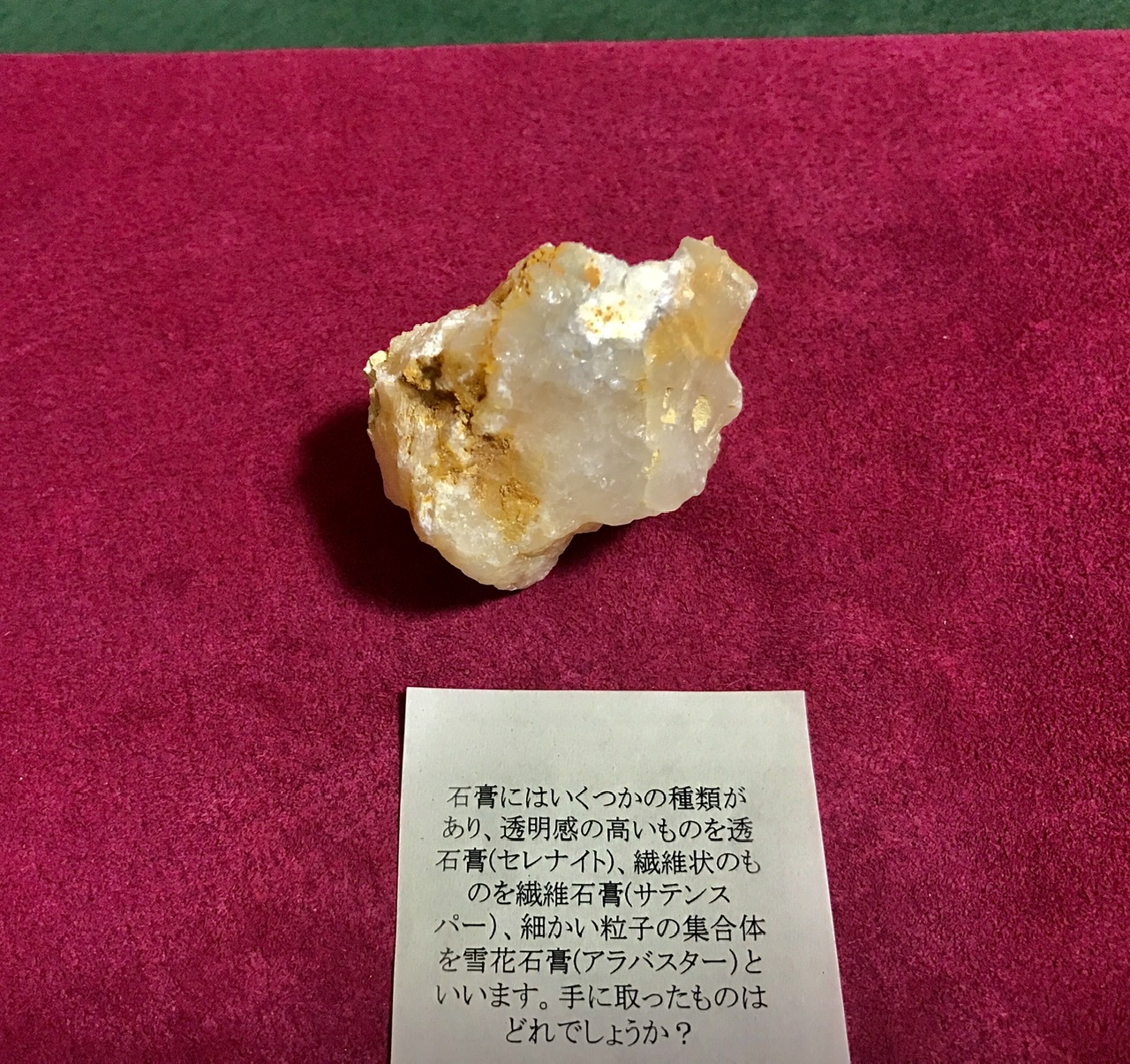 Twitter 上的 東北大学総合学術博物館 身近な鉱物 石膏は英名ジプサム Gypsum と言います 固定具のギプス かすみ草の英名gypsophilaにも石膏の意味がありますね 写真は宮城県加美郡宮崎鉱山で採集した天然石膏 透明石膏 セレナイト 繊維石膏サテンスパー