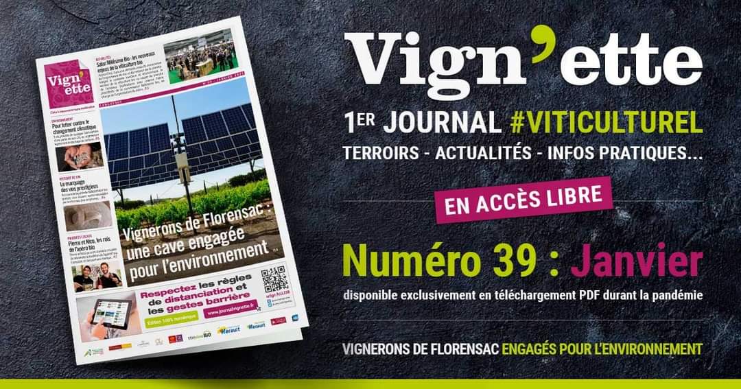 Le premier numéro de l’année du journal Vign'ette est enfin disponible sur notre site internet et en PDF :
➡️  pdf.lu/2dp3
Bonne lecture !