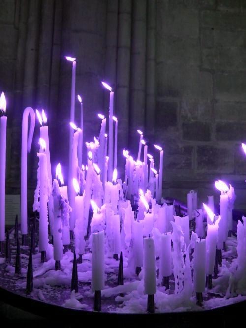 ★ Would you like to be famous? ★