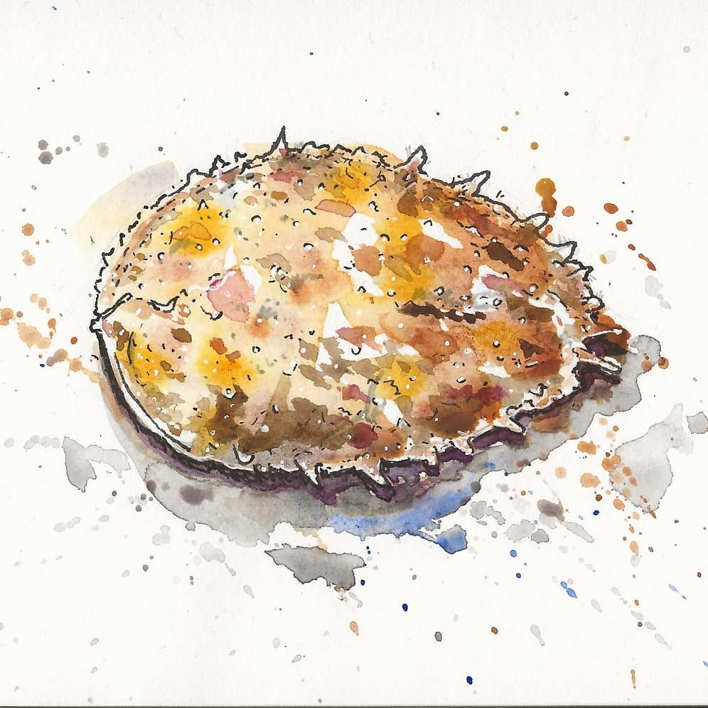 lilspikey's tweet photo. Spikey crab shell we found down the beach 🦀 @sketchworthing #drawing #inkandwash #inkandwatercolor #watercolorsketch #watercolour #crabshell https://t.co/WV6qNptKhW https://t.co/OrEtL508YZ