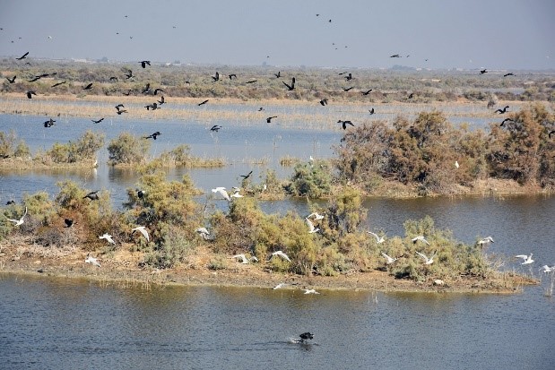 MutoAlessandra's tweet photo. 2021 is a big year for #climateadaptation. As the world strives to #buildforwardbetter from #COVID19, @UNDP is promoting locally-led climate resilience initiatives in the Arab region, including in 🇮🇶🇯🇴🇾🇪🇵🇸 with the support of 🇸🇪
#ClimateAction #AdaptationWeek #ResilientRecovery https://t.co/4ZRoRFKgmn