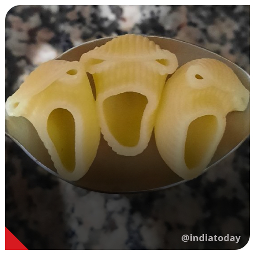IndiaToday's tweet photo. Viral pics of 'screaming pasta' sparks a meme fest on Twitter. Details here - https://t.co/WlZzGttQ33
#HilariousMeme #ScreamingPasta #Memes #Memes2021 https://t.co/Mx2hlQgw8l