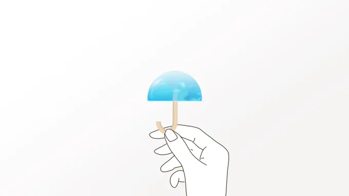 傘ようかん 