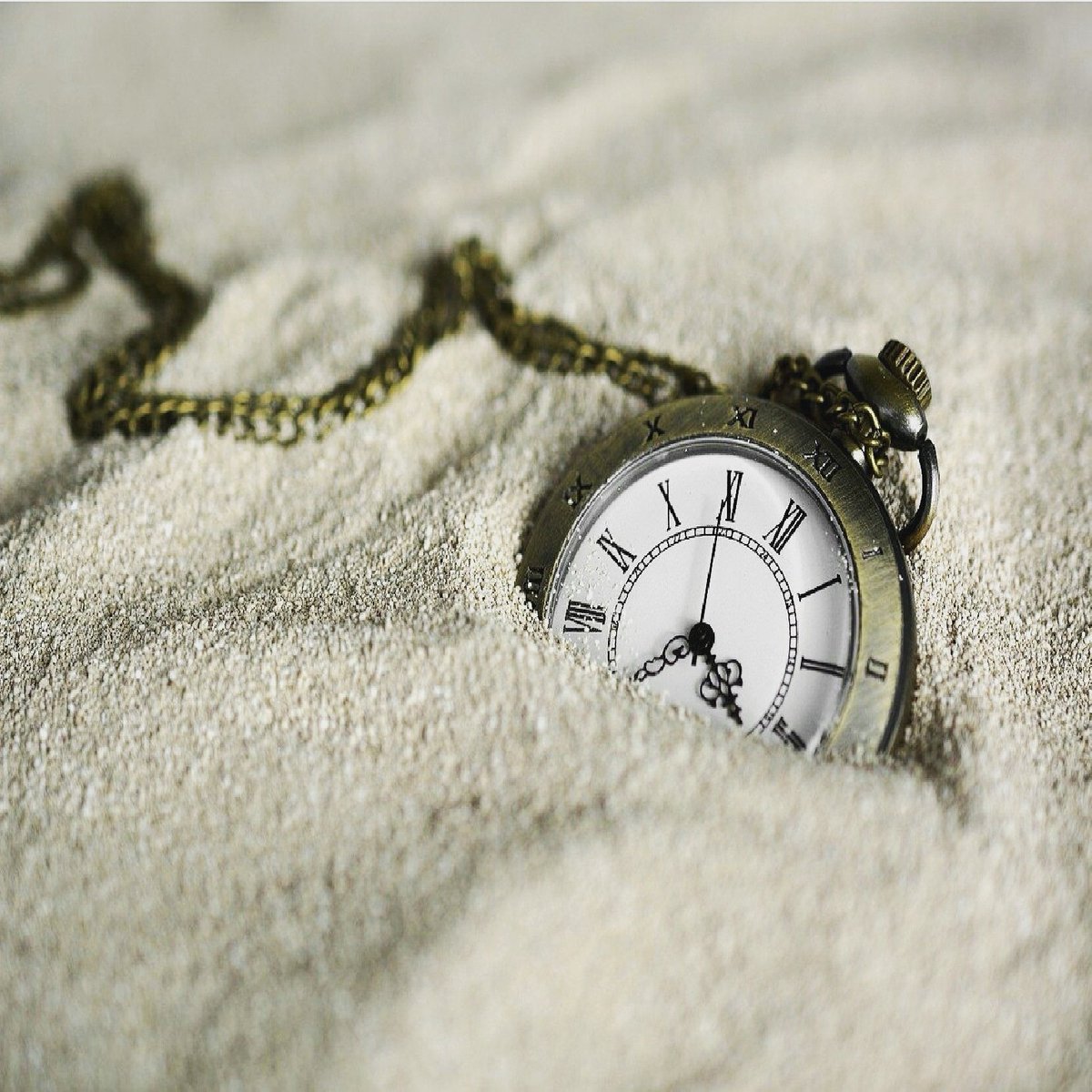 musfirahs_ink's tweet photo. Walk along the flow of time,
If you don't,
You'll be drowned.
β @syedamusfira02
#syedamusfiranaqvi #musfiranaqvi #syedawrites #quotes #myquotes #diary #mydiary #writeforyourself #writeforhappiness #writetogrow #time #flow #walk #timeisprecious #useyourtime #follow #syedamusfira https://t.co/xpBOgwQRX9