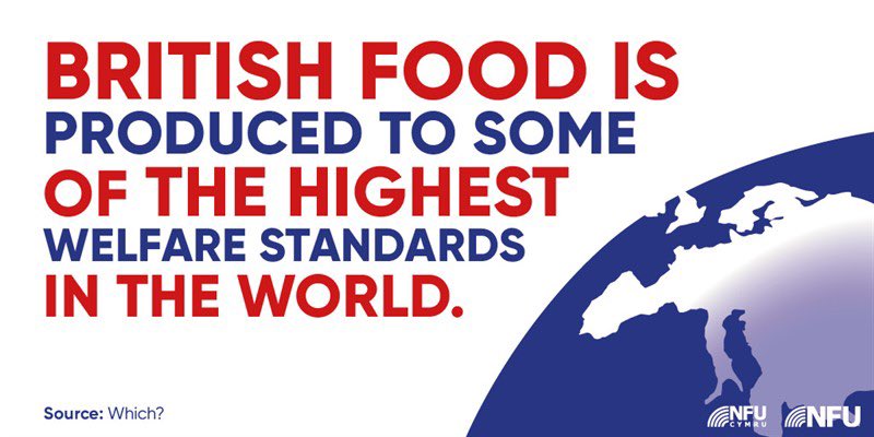 Joe Stanley tweet media