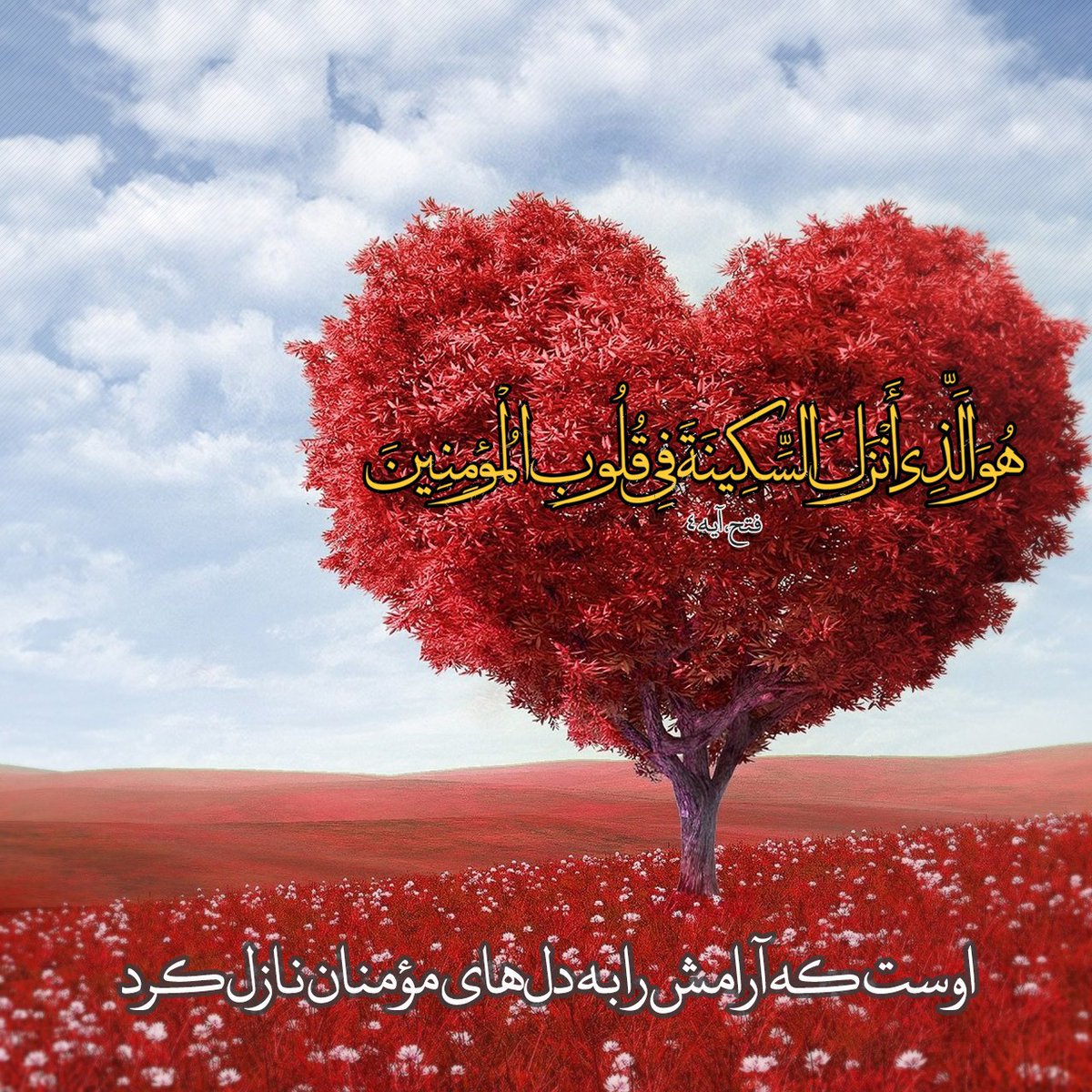 HayatBartar_313's tweet photo. "هُوَ الَّذِي أَنْزَلَ السَّكِينَةَ فِي قُلُوبِ" الْمُؤْمِنِينَاوست كه آرامش را به دل‌هاى مؤمنان نازل كرد
فتح/۴

ایمان انسان را دوست خدا می کند و خداوند آرامش را به او هدیه می دهد, ایمان بهشت را در همین دنیا برای مومن به ارمغان می آورد. https://t.co/44YMoxy1BA