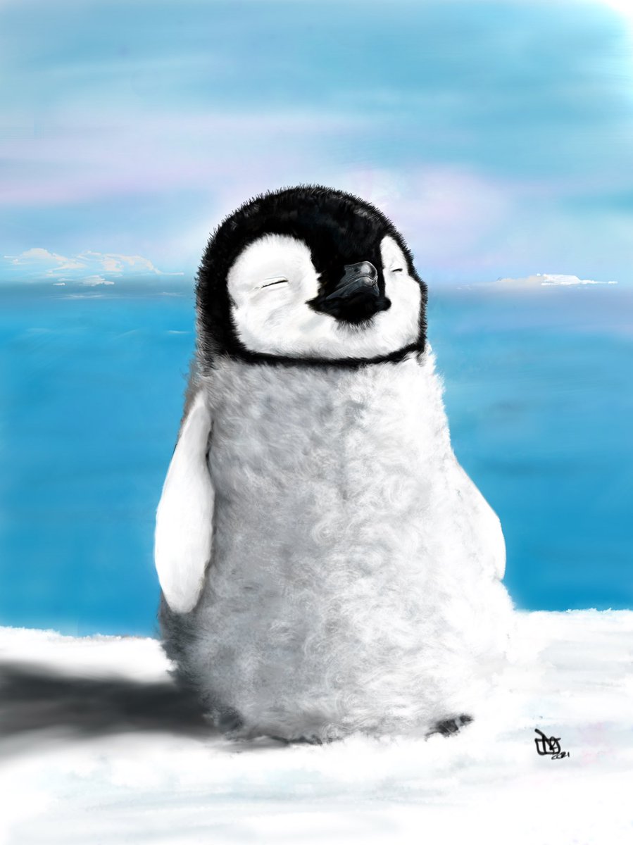 DarrenRichArt's tweet photo. My latest drawing as it’s digital I’ve done a couple of versions but this is my favourite one 😎 relaxing #penguin #penguinart #Penguins #procreateart #adobeart https://t.co/OwmIWiHpvm