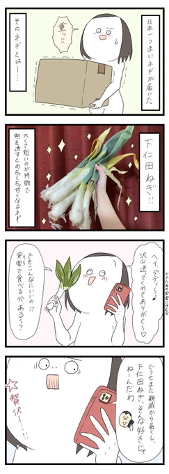 日本一うまいネギを食べた話

(↓続きはツリーに) 