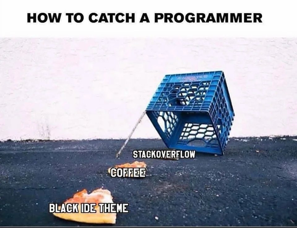 #unix #programming #bunny #programmers #programmershumor #programminghumor #programmingmemes #programmersmemes #developers #developerstuff #developersmemes #code #coding #codememes #codingmemes #memes #memesdaily