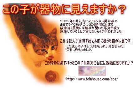 ディルレヴァンガー事件 こげんた事件とは？福岡猫虐待事件の概要と犯人の写真、現在は？