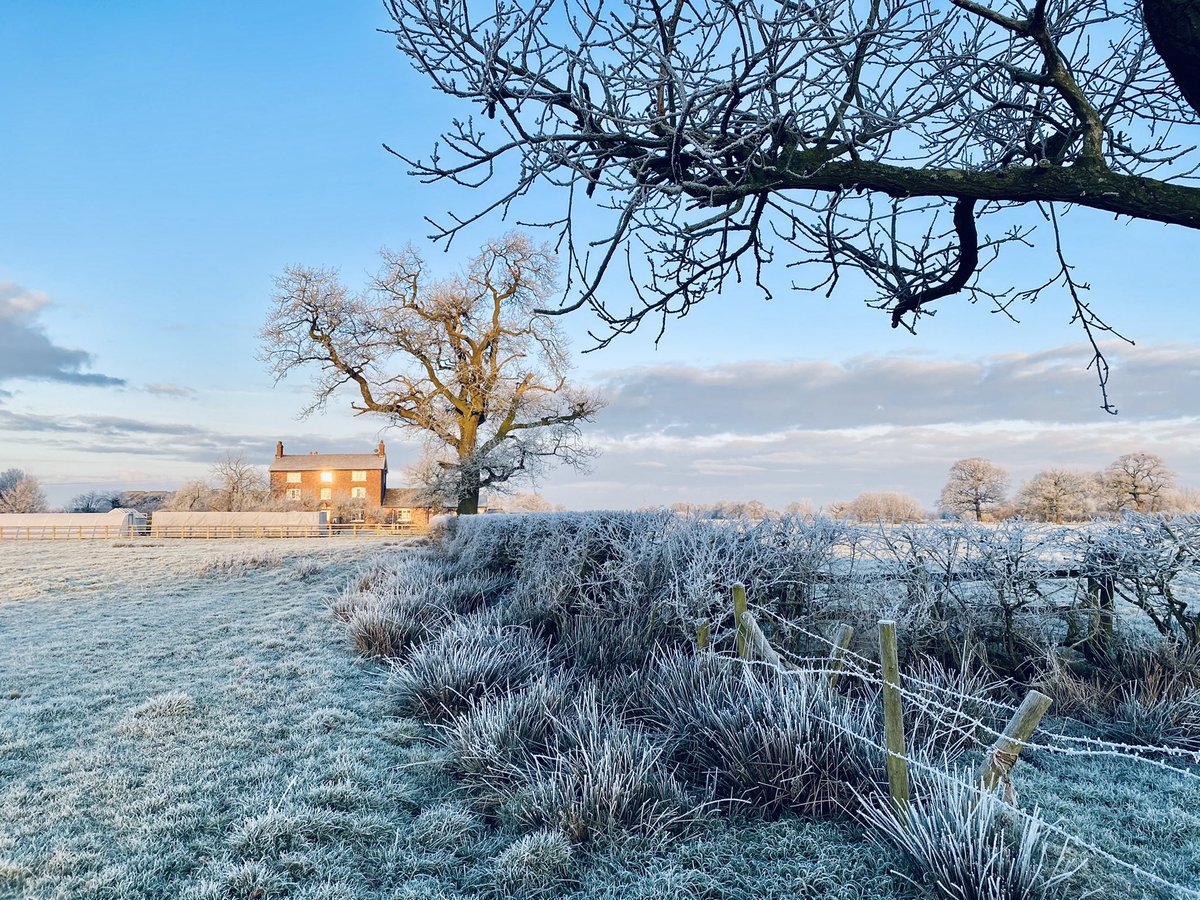 Crawford_H_'s tweet photo. 💙 a walk on a frosty morning ❄️

#Cheshire #Home #LockdownViews https://t.co/3WFQVSaGeO
