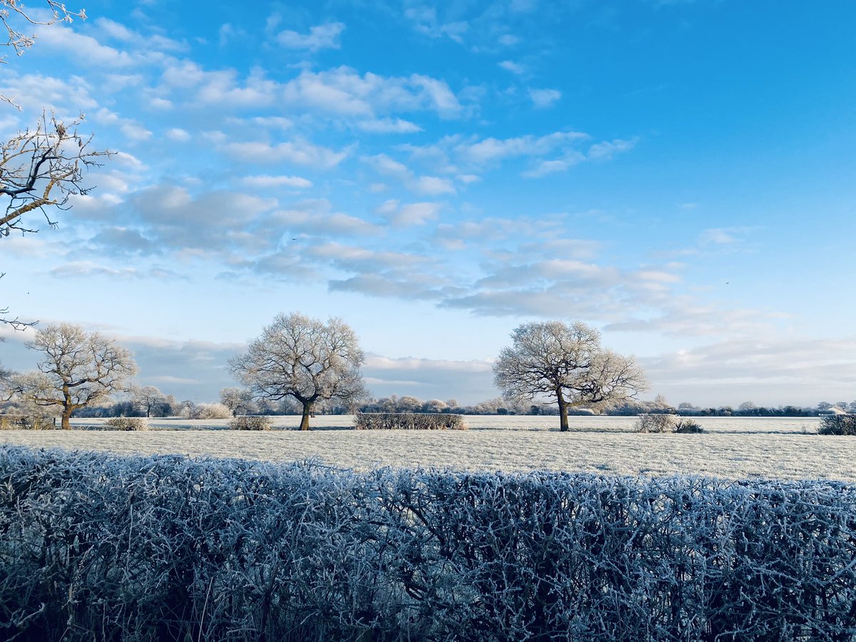 Crawford_H_'s tweet photo. 💙 a walk on a frosty morning ❄️

#Cheshire #Home #LockdownViews https://t.co/3WFQVSaGeO