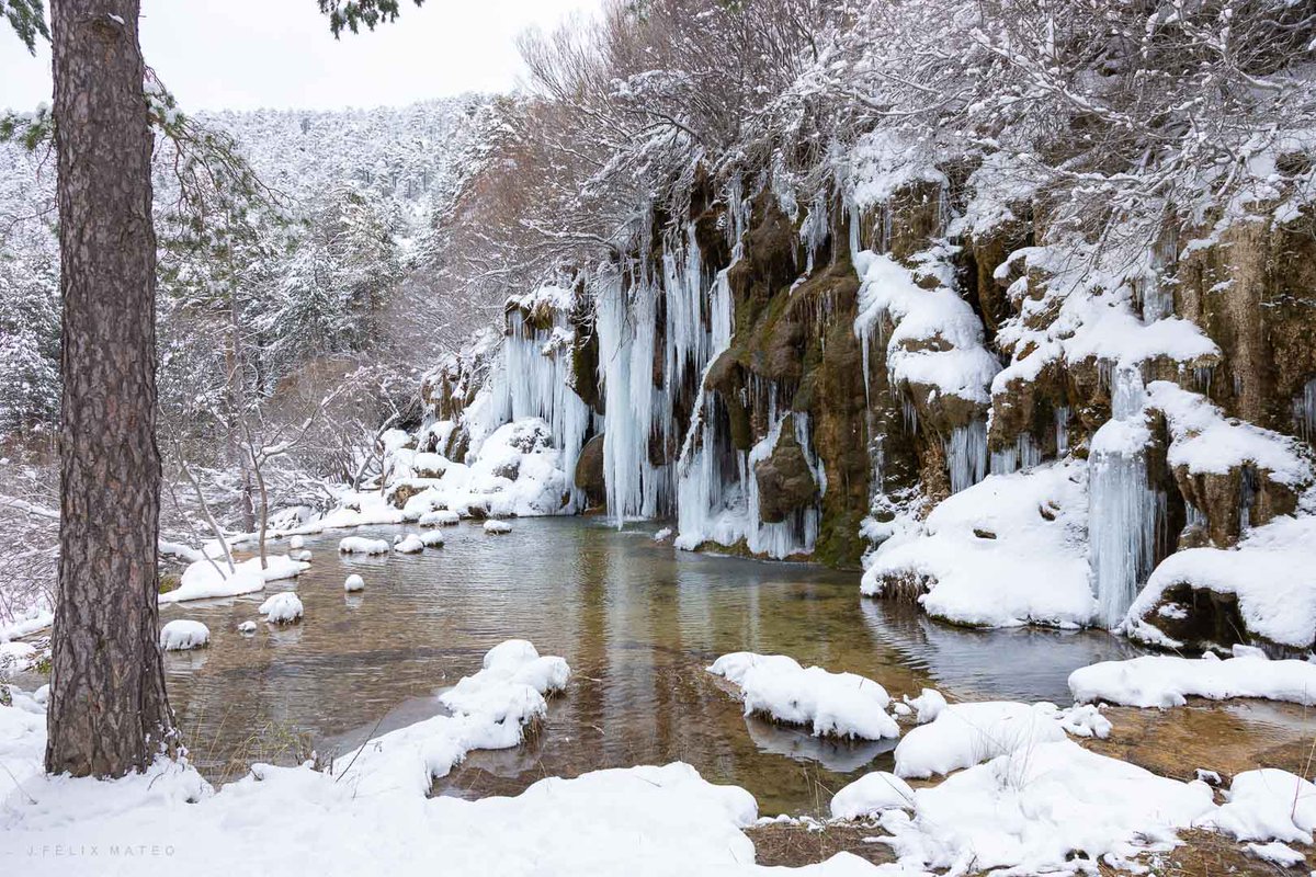 pSerraniaCuenca's tweet photo. El objetivo de la cámara de @jfelixmateo nos deja este regalo de imágenes. El Cuervo congelado. Todo un espectáculo #SerraníaDeCuenca https://t.co/cJBxy0aIhW
