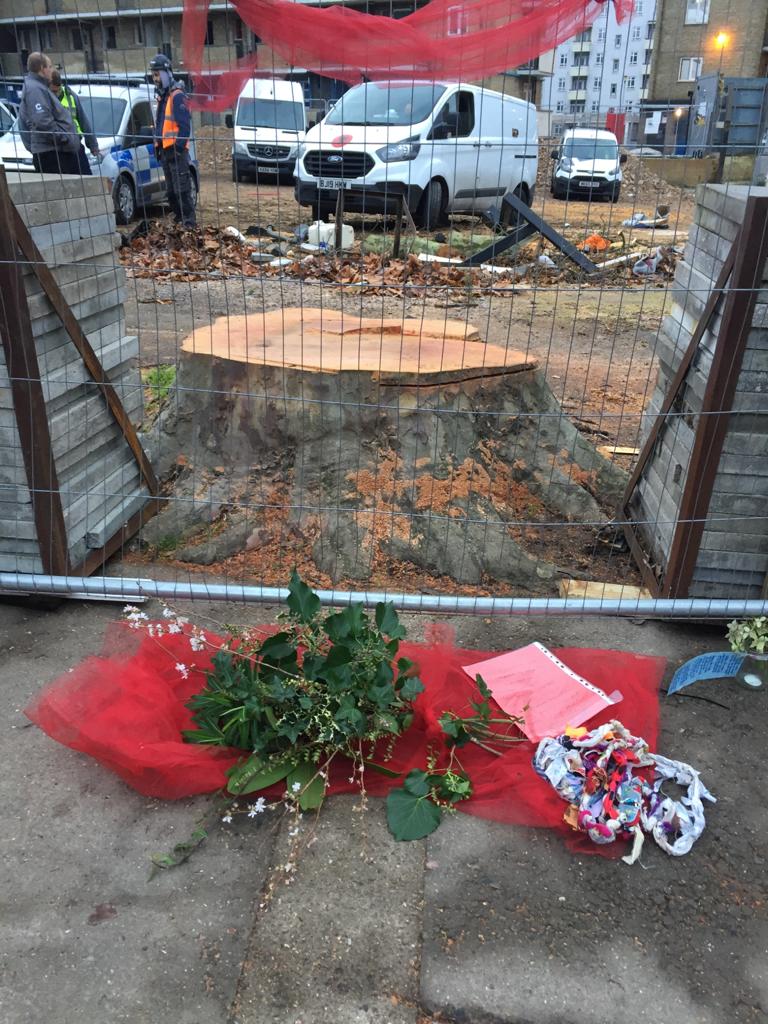 happymantree's tweet photo. Last tributes to the #HappyManTree before what is left is hidden behind hoardings. #RememberThisTree https://t.co/px5OktlYXl