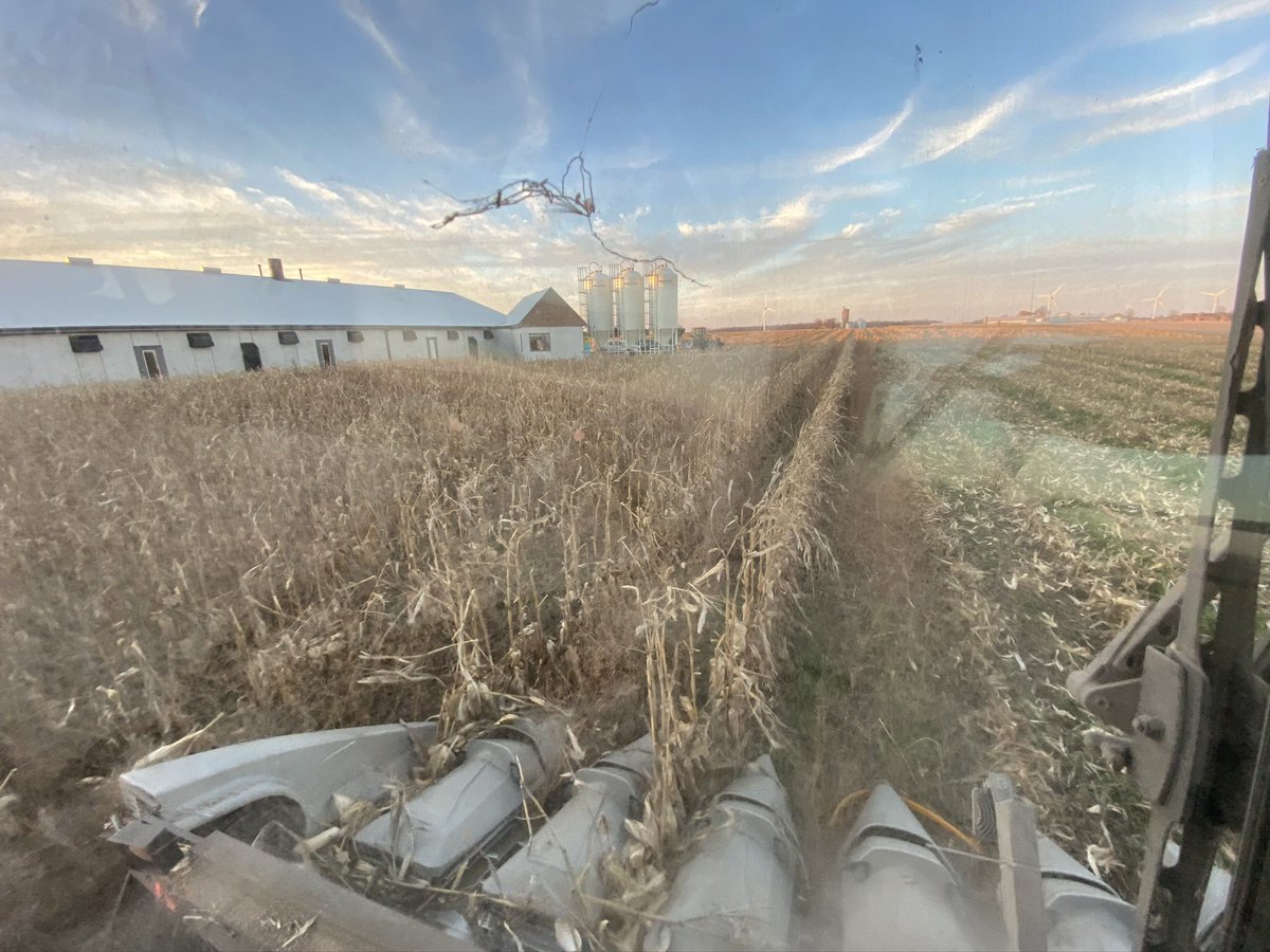 My university classmates also had major concerns about monocropping. They were concerned at what a lack of biodiversity would do the health research our planet. Relay Cropping and wide row corn have been my experiments in adding biodiversity to my farm. (11)