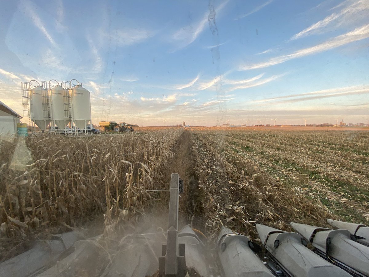 My university classmates also had major concerns about monocropping. They were concerned at what a lack of biodiversity would do the health research our planet. Relay Cropping and wide row corn have been my experiments in adding biodiversity to my farm. (11)