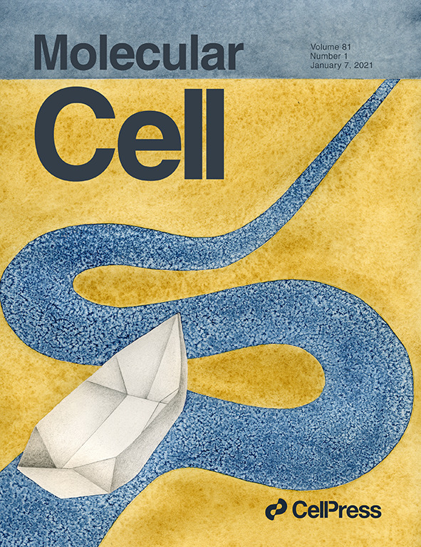 Molecular Cell tweet media