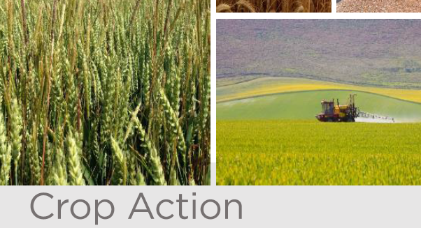 ADASGroup's tweet photo. In our first Crop Action newsletter of 2021 -
📅2020 crop year review
❄Impact of cold temp on aphid/disease rates
📝#IPM Test &amp; Trial survey with @NFUtweets
🌥Weekly weather data incl. soil temp and moisture 
To sign up for our newsletter, head to https://t.co/g1N38l3ZxQ https://t.co/4BmpayV3n9