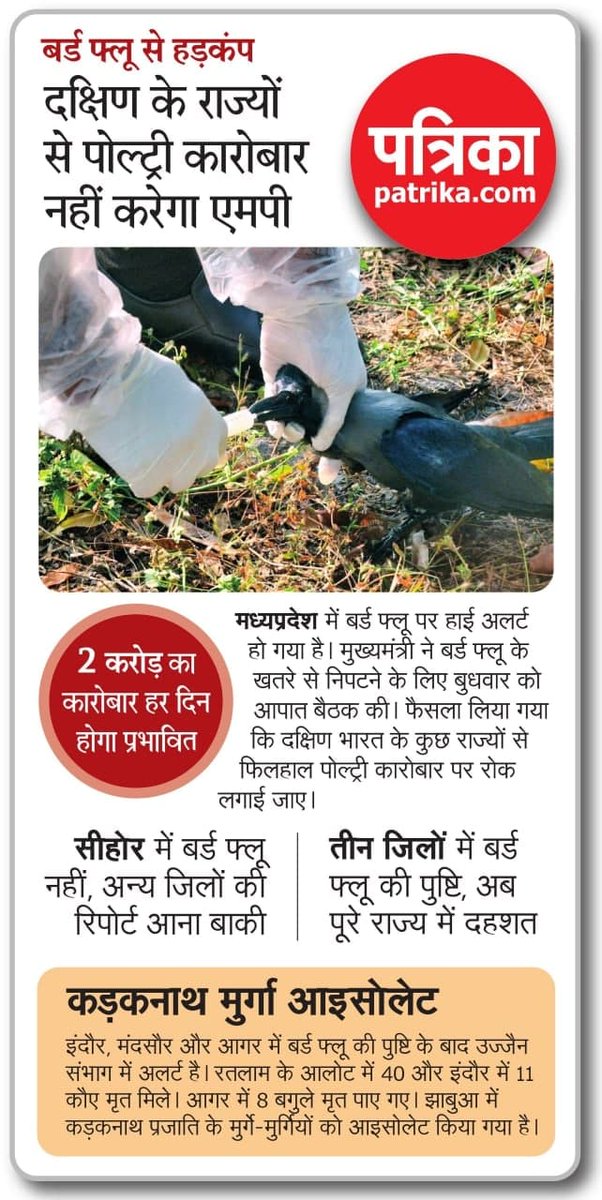 rpbreakingnews's tweet photo. दक्षिण के राज्यों से पोल्ट्री कारोबार नहीं करेगा एमपी
बर्ड फ्लू से हड़कंप
#patrikanews #birdflu #birdfluupdate #mpnews #covid19update https://t.co/ZMZuYsWw8D