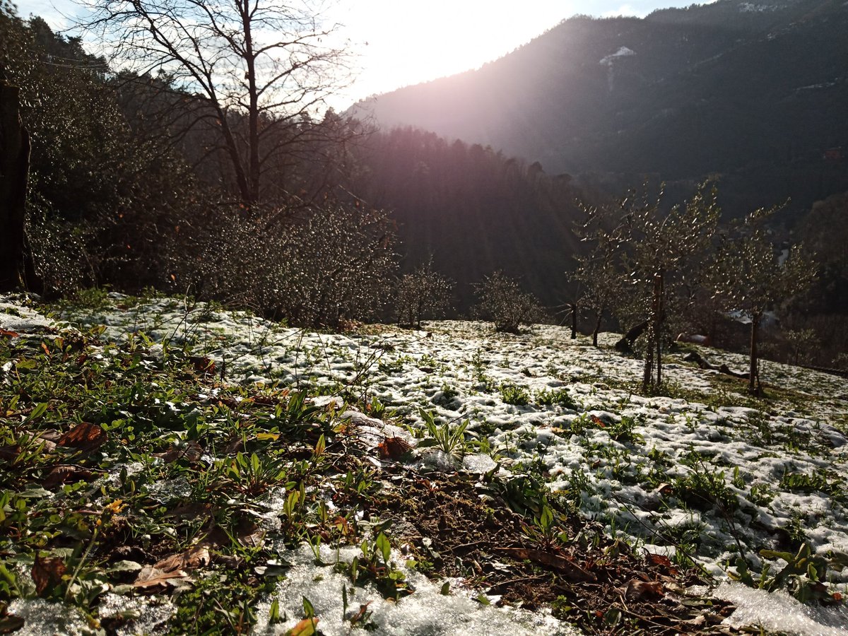 The start of the thaw. Loving the contrast of the bright green vegetation pushing through the gaps in the dazzling white snow. #winterintuscany #lovewinter #lovewhereilive #thebeautyofnature