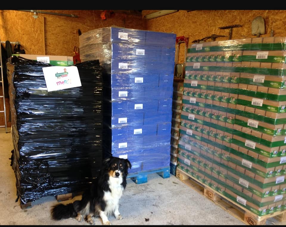 NormandiseP's tweet photo. 🐶🐱 Normandise toujours solidaire en faveur de la cause animale ! 🐈🐕
L'association Solidarité Coup de Patte (76) a reçu plusieurs palettes de pâtées pour venir en aide aux animaux dans le besoin.
#lanormandise #petfood #madeinfrance #welovecats #adoptdontshop #causeanimale https://t.co/237AZlBSjH