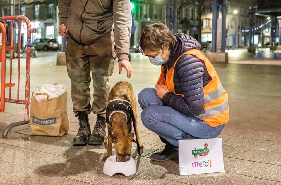 NormandiseP's tweet photo. 🐶🐱 Normandise toujours solidaire en faveur de la cause animale ! 🐈🐕
L'association Solidarité Coup de Patte (76) a reçu plusieurs palettes de pâtées pour venir en aide aux animaux dans le besoin.
#lanormandise #petfood #madeinfrance #welovecats #adoptdontshop #causeanimale https://t.co/237AZlBSjH
