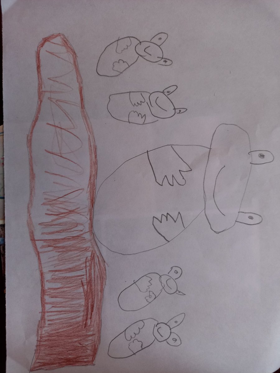 FVAYR1's tweet photo. Home learning βοΈπ@frome_vale
#learning #homelearning #remotelearning #year1 #reading #comprehensation #understanding #history #homes #maths #3dshapes #writing #questions #questionmarks https://t.co/J1p5b8022o