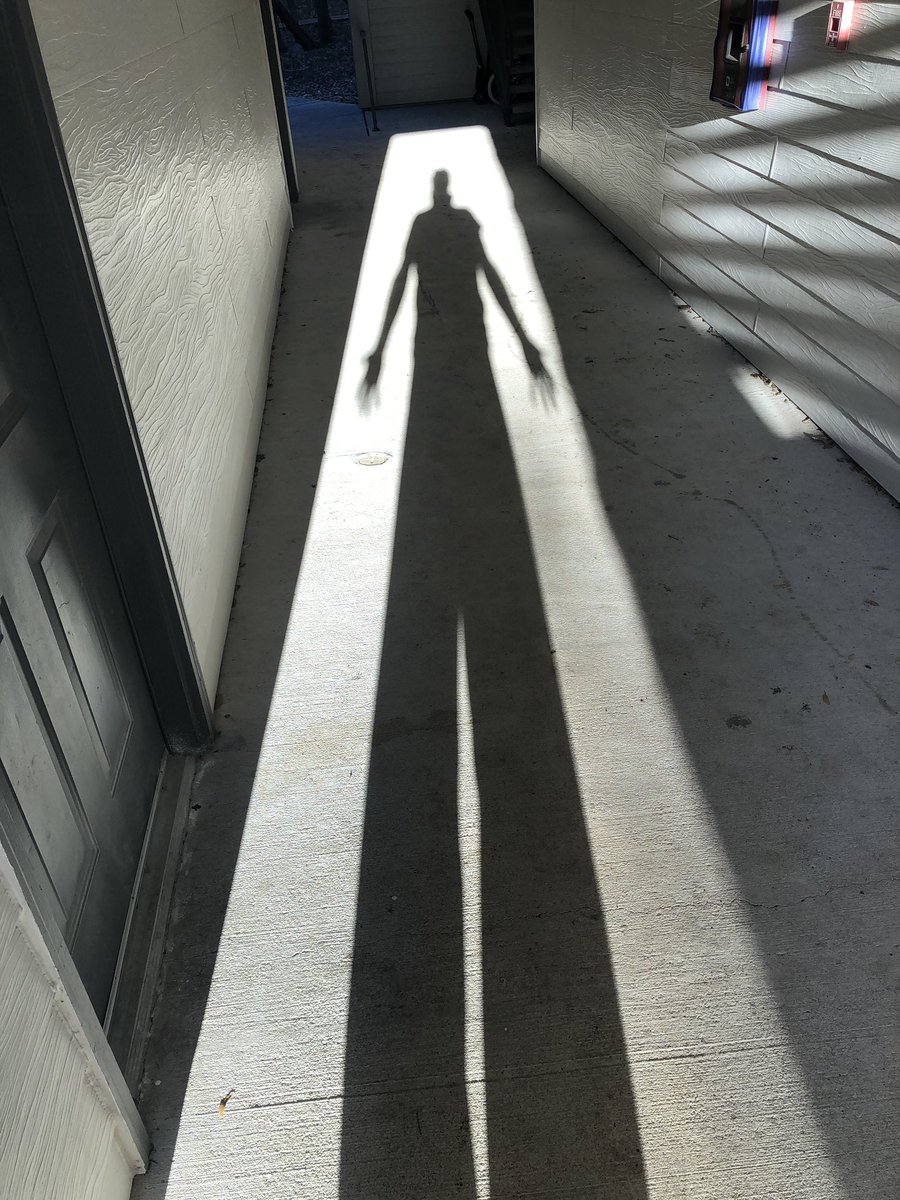 Que la Luz que hemos creado sea Irreversible 🌞🌞🌞 <a href="/realDonaldTrump/">Donald J. Trump</a> <a href="/EVerastegui/">Eduardo Verástegui</a>