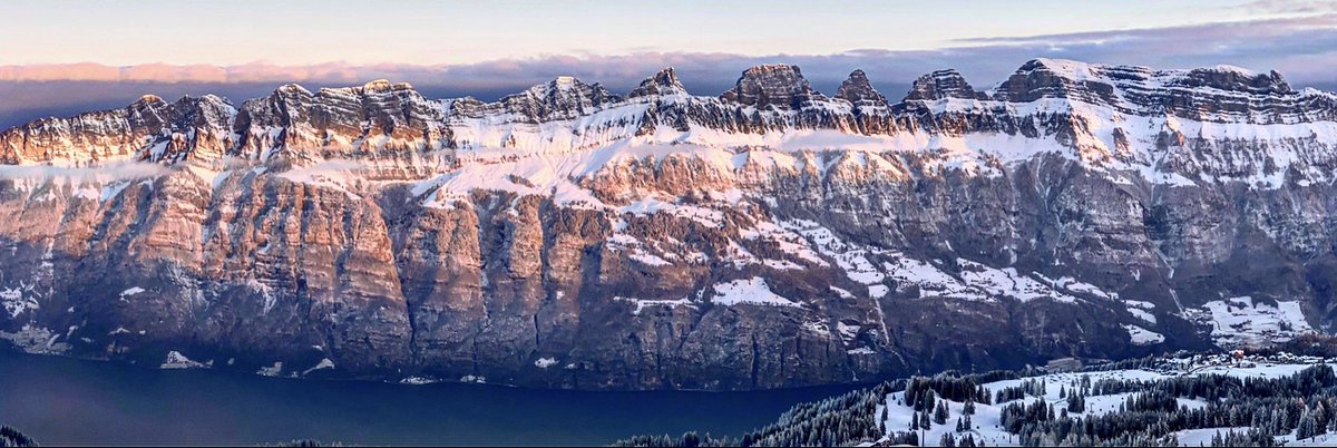 pubflums's tweet image. 