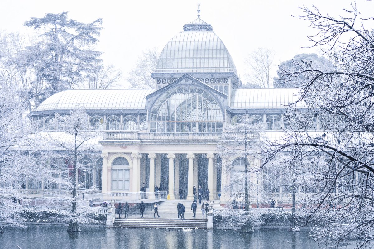 tipicodemadrid's tweet photo. El Parque del Retiro hoy. https://t.co/GZWa1JH5hp
