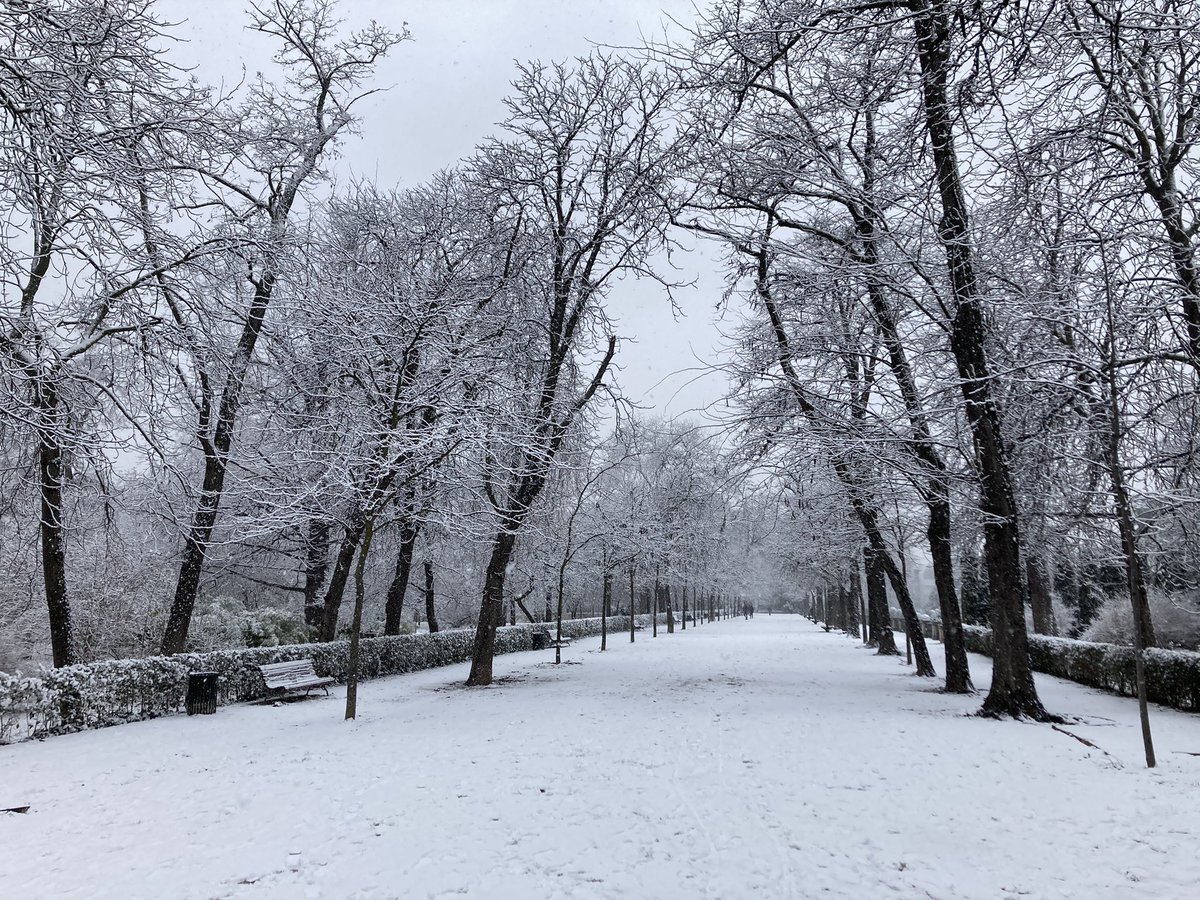 tipicodemadrid's tweet photo. El Parque del Retiro hoy. https://t.co/GZWa1JH5hp