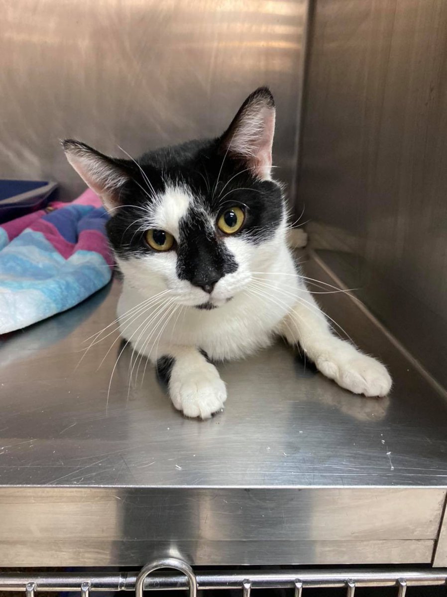 Associated Humane Societies - Newark Branch tweet media