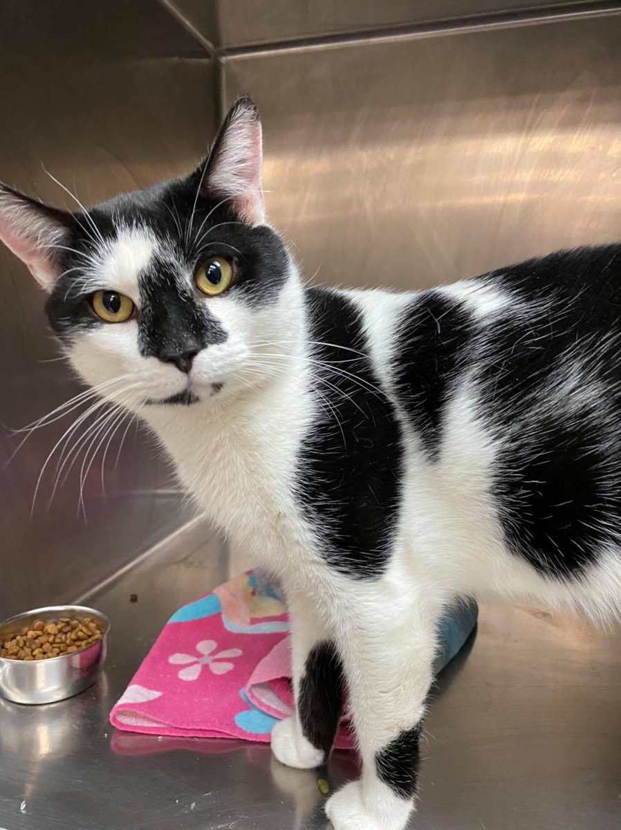 Associated Humane Societies - Newark Branch tweet media