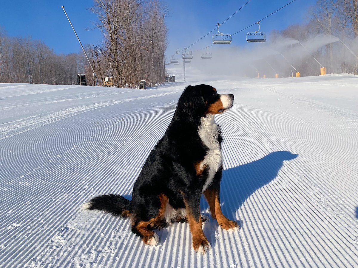 Our job is to be ready. Your job is to stay home. Soon we’ll be outside to ski ‘n’ ride. 

Misty9 overseeing snowmaking operations to make sure conditions are perfect for #SkiON23 
•
•
•
January 7th 2020
#gowherethesnowis
#snowmaking
@technoalpin 
📸: #OfficeMikela