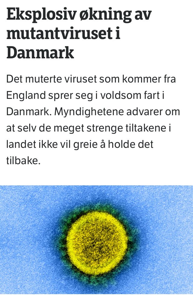 Jeg er ikke noen virusekspert, men har en vag følelse av at dette kunne vært et bra tidspunkt å feks stenge grensene på.