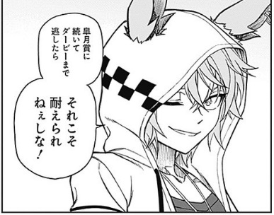 ヒート ウマ娘 シンデレラグレイ 当選品 50名 特製パーカー