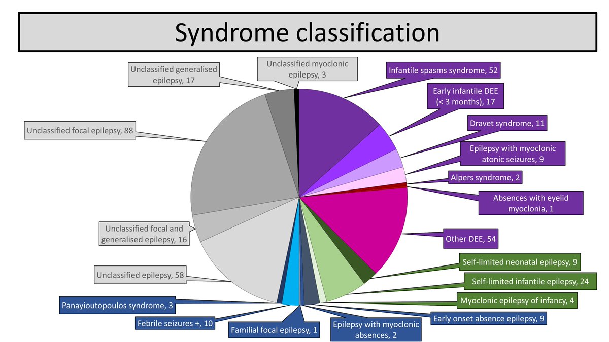 One third (146/390) were classified as having the most severe form of epilepsy, Developmental and Epileptic Encephalopathy (DEE, pink/purple shades).